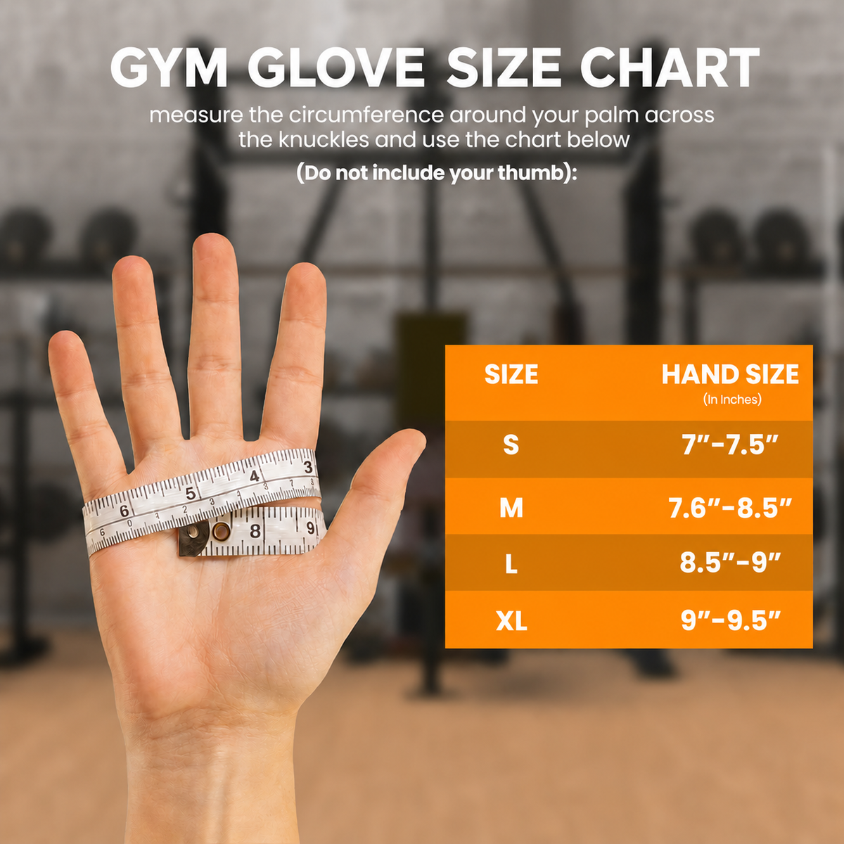 Permo Lite Gym Gloves with Wrist Support, Padded Palm Weight Lifting Gloves, Cycling, Anti-slip Gym Gloves for Exercise, Powerlifting, Cross Training, Workout, Best for Men & Women, Black