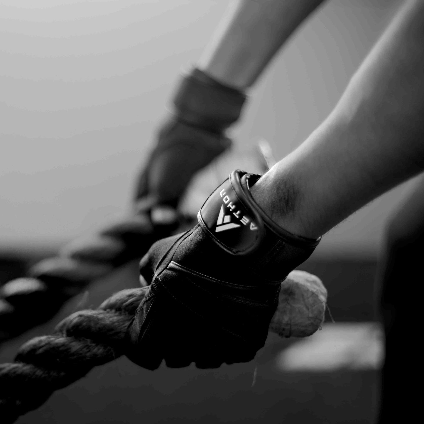 Gym Gloves with 19" Wrist Support